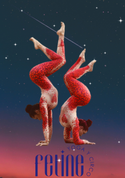 CLASES DE POLE DANCE